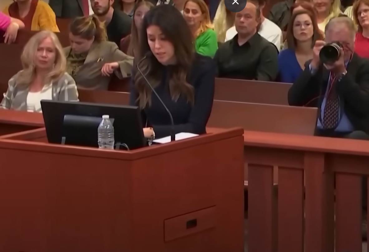 advokatica dzonija depa (5).png