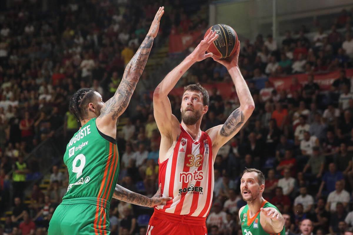 Crvena Zvezda košarka  (8).jpg