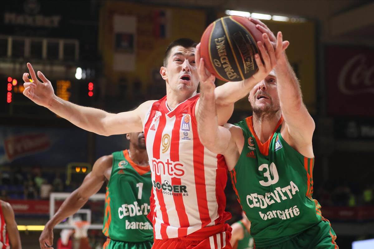 Zvezda Košarka  (6).jpg