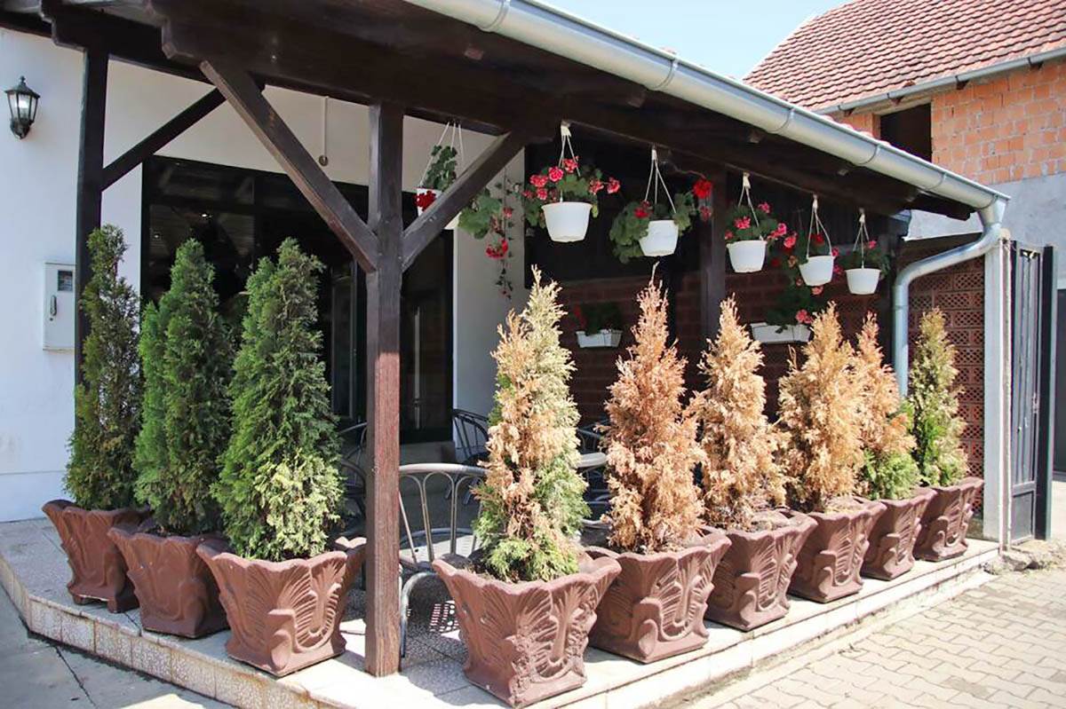 Indjija kafic pokusaj ubistva (11).jpg