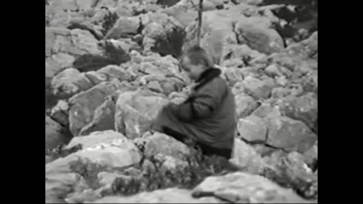 Velebit vukovi  (6).jpg