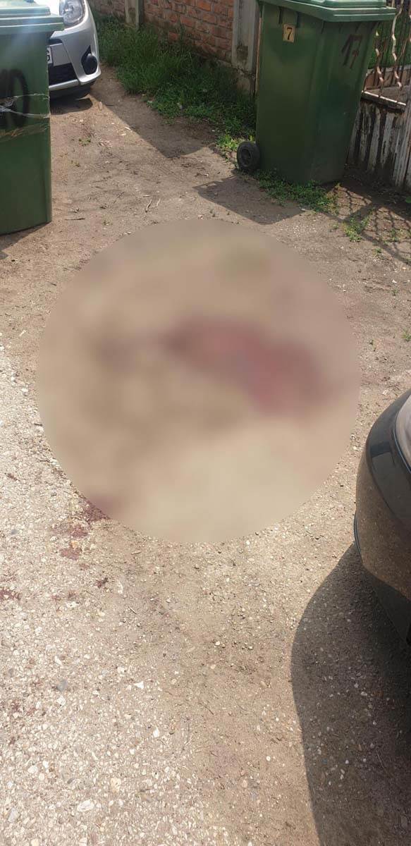 pucnjava surčin 3.jpg