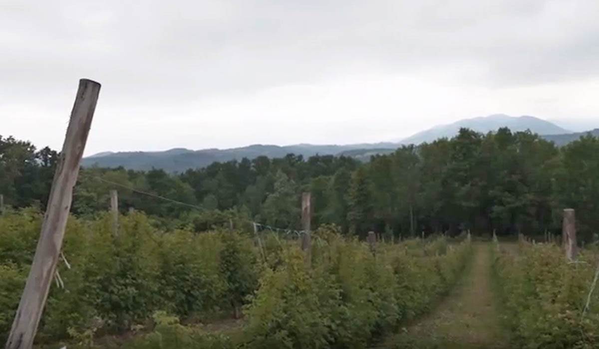 Djordje Donja Vrbava (9).jpg