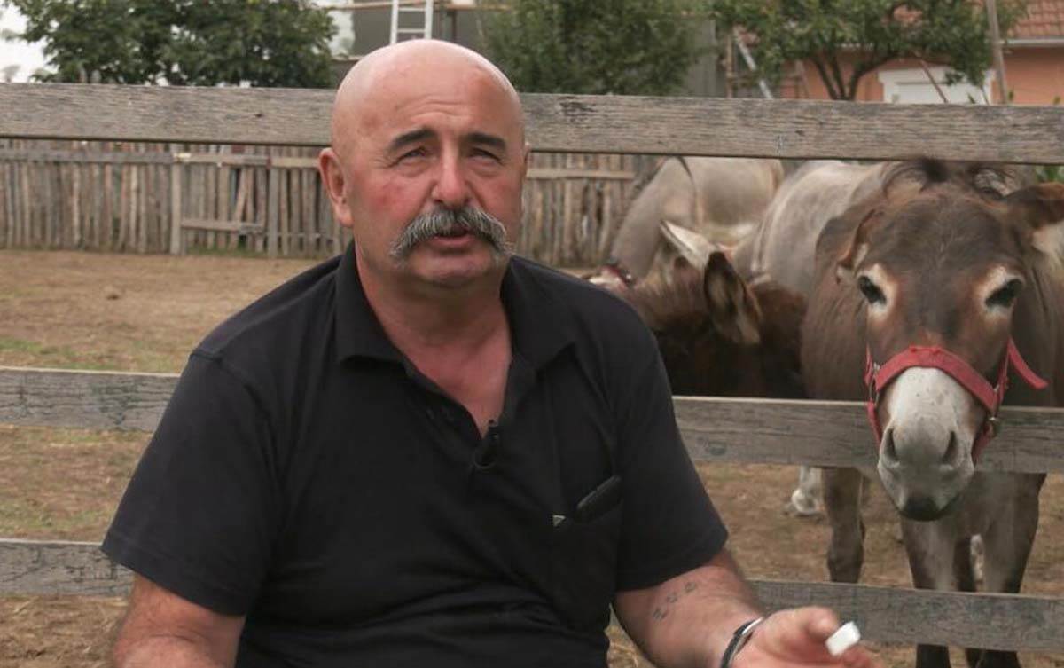 brka švajcarska 4.jpg