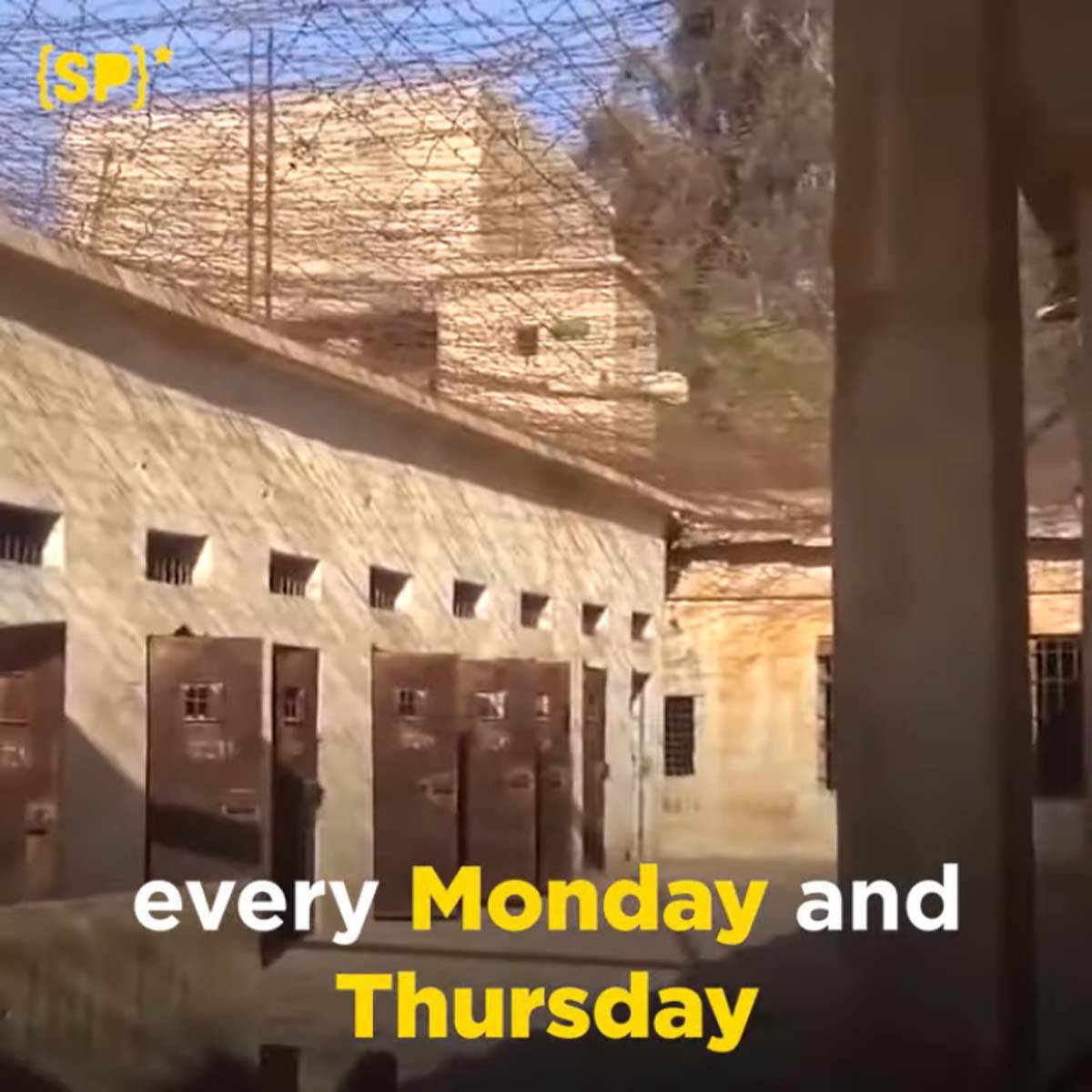 Tadmur zatvor Sirija  (3).jpg