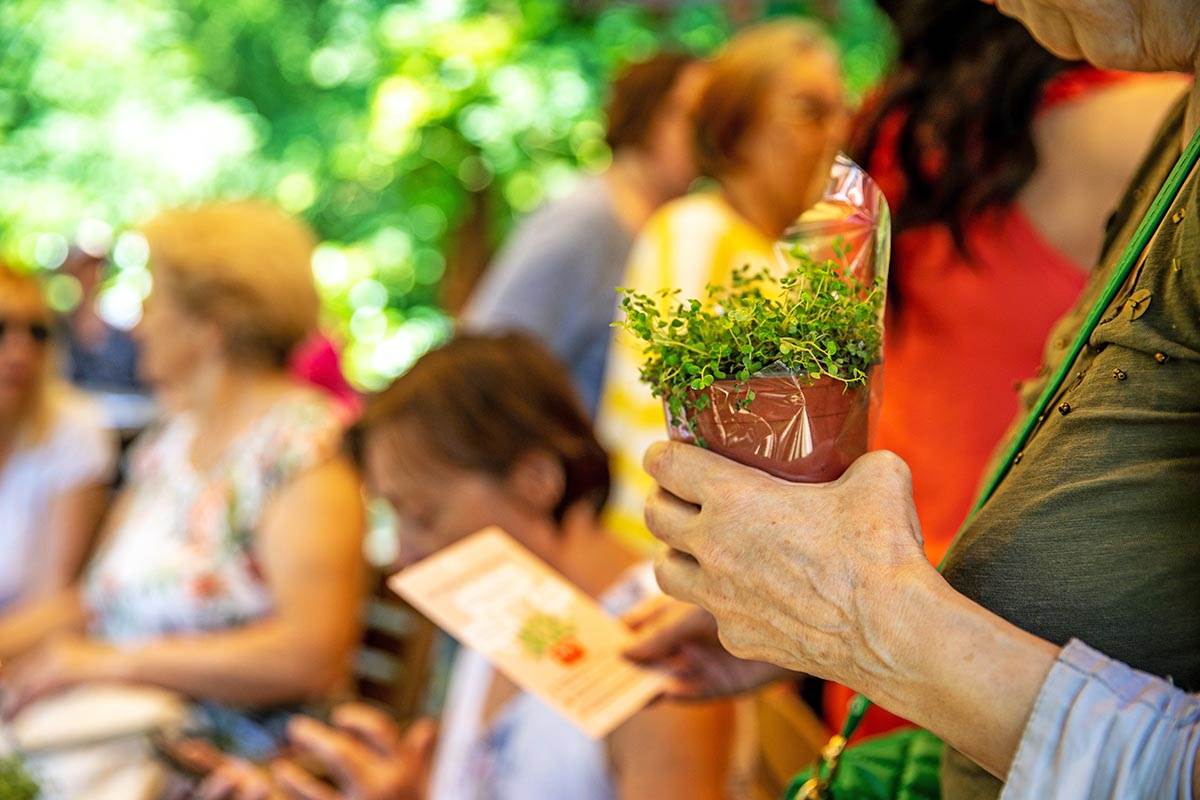 Botanicka basta Jevremovac (21).jpg