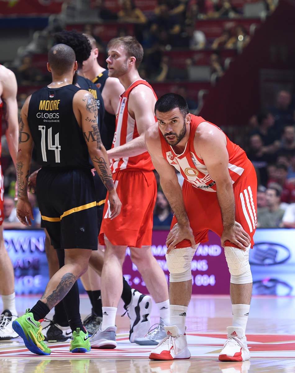 Crvena Zvezda partizan KK  (7).jpg