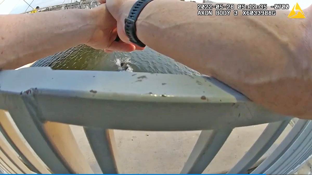 Covek koji se davi (1).png