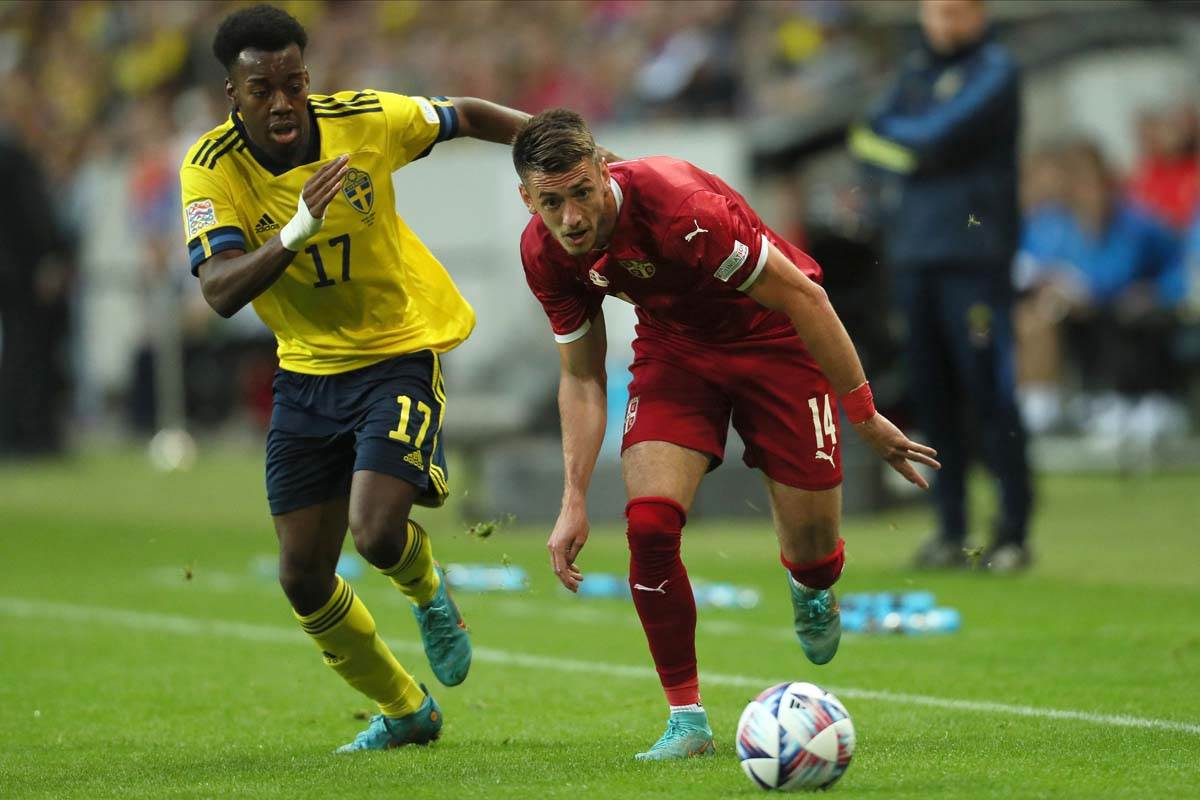 Dušan Tadić izjava posle Srbija Švedska