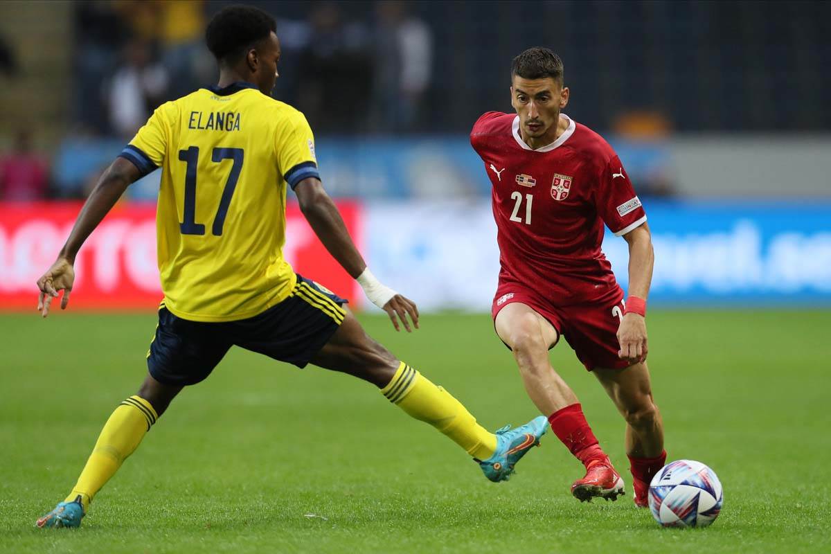 Dušan Tadić izjava posle Srbija Švedska