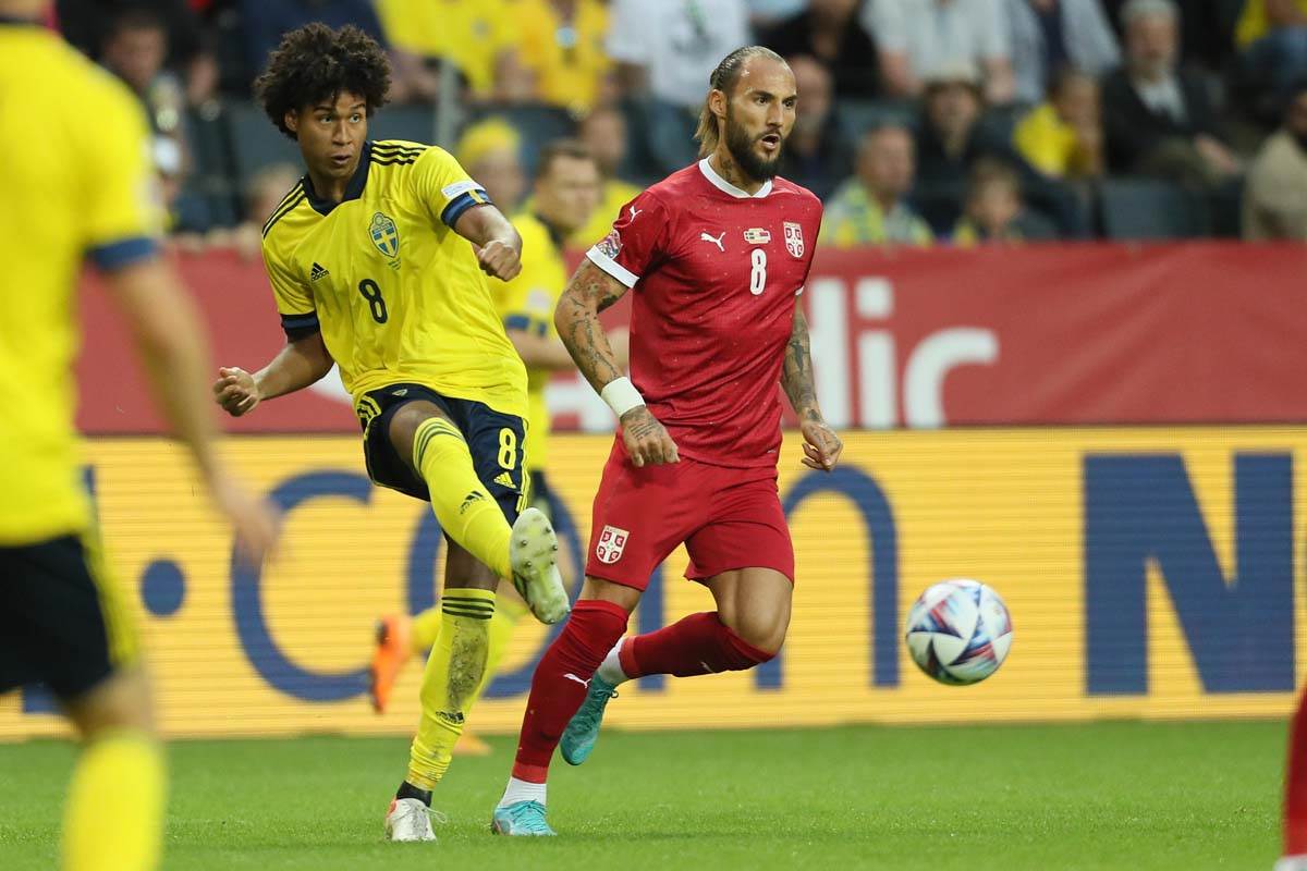 Dušan Tadić izjava posle Srbija Švedska