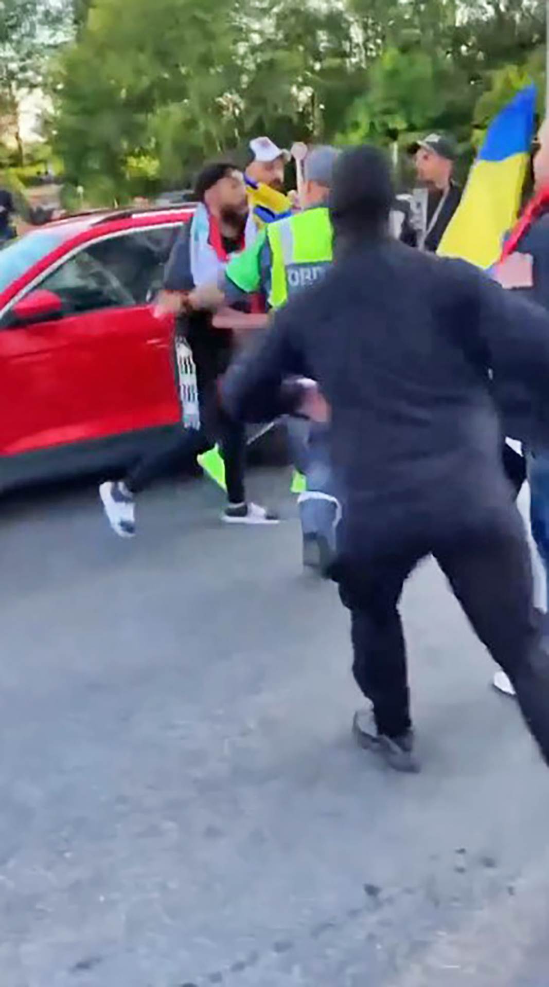 Srbija Svedska navijaci (9).jpg