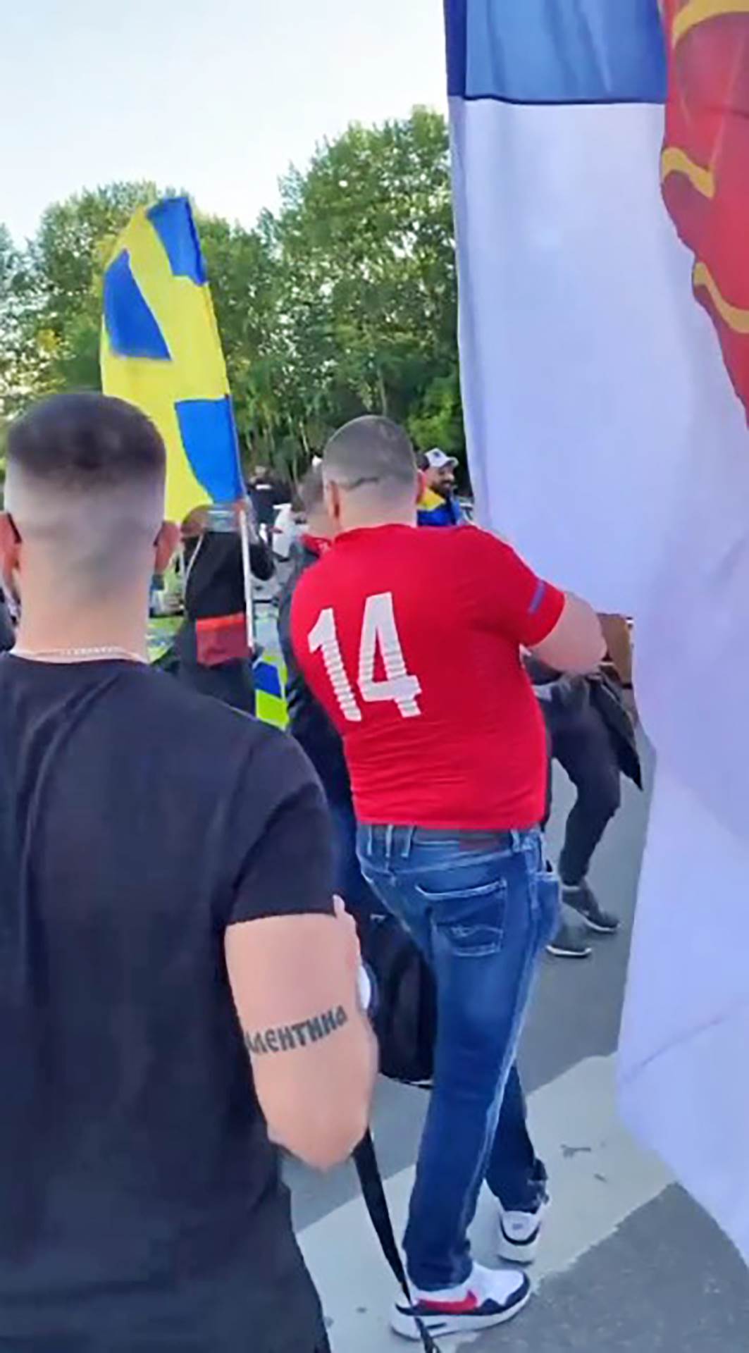 Srbija Svedska navijaci (1).jpg