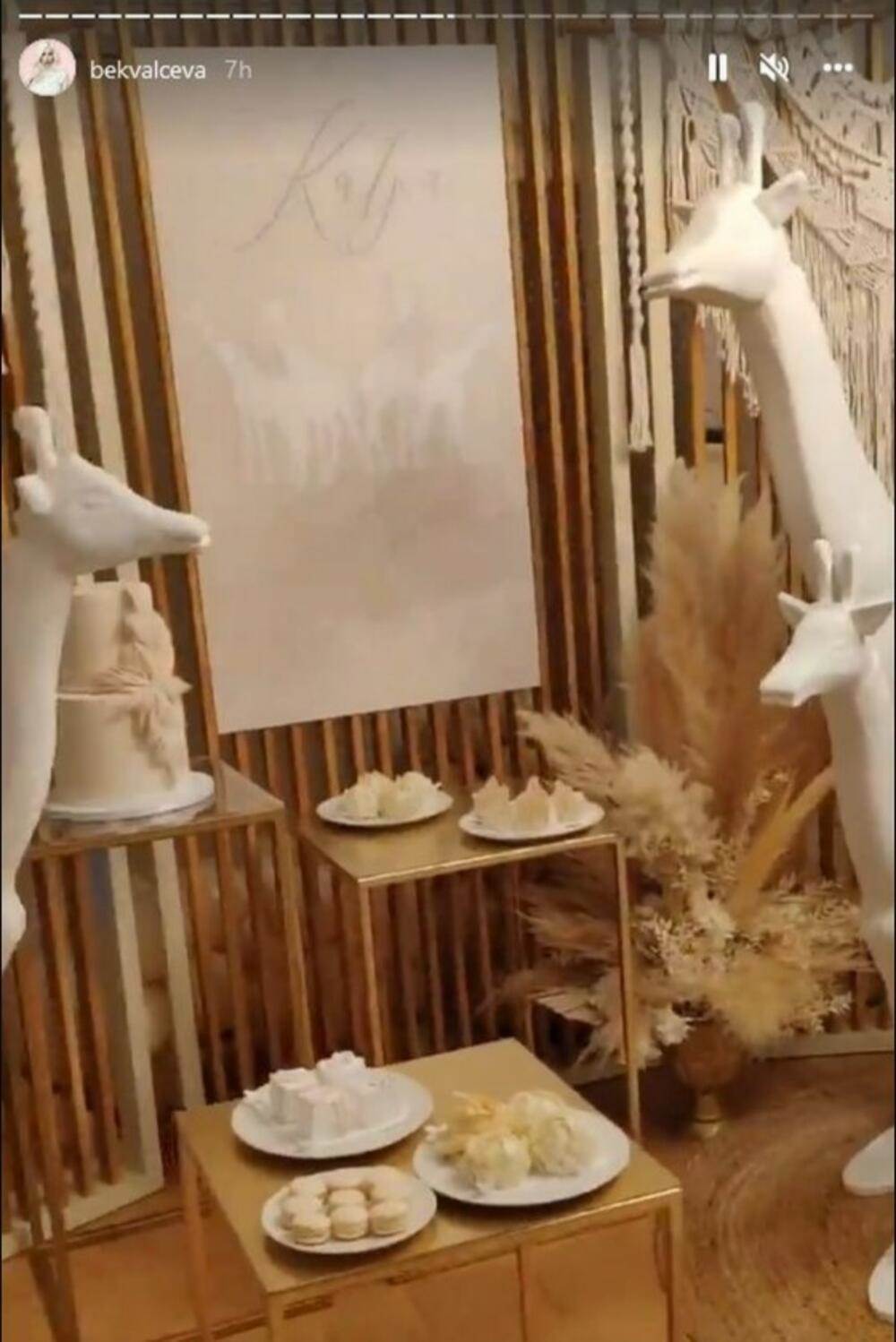 nataša bekvalac stan1.jpg