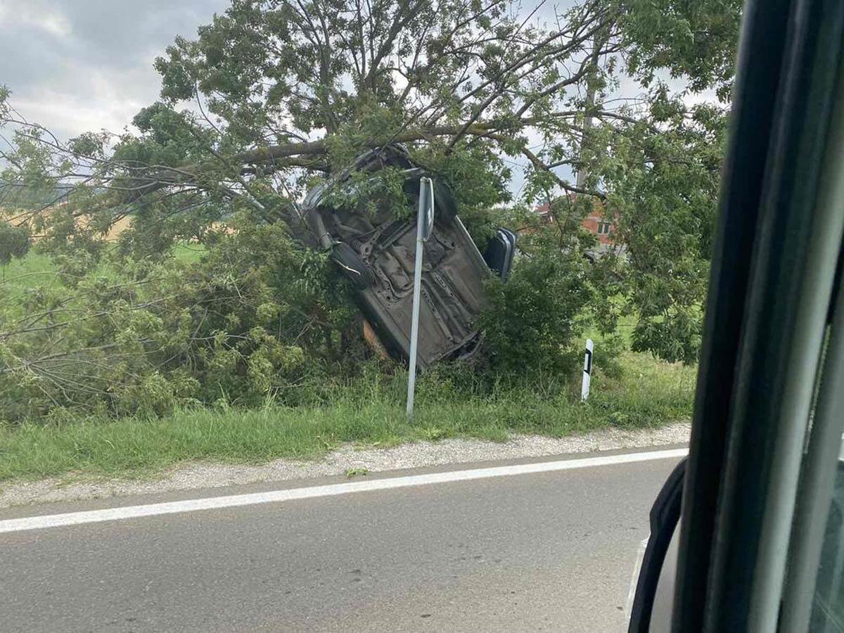 Auto završio na drvetu pored puta