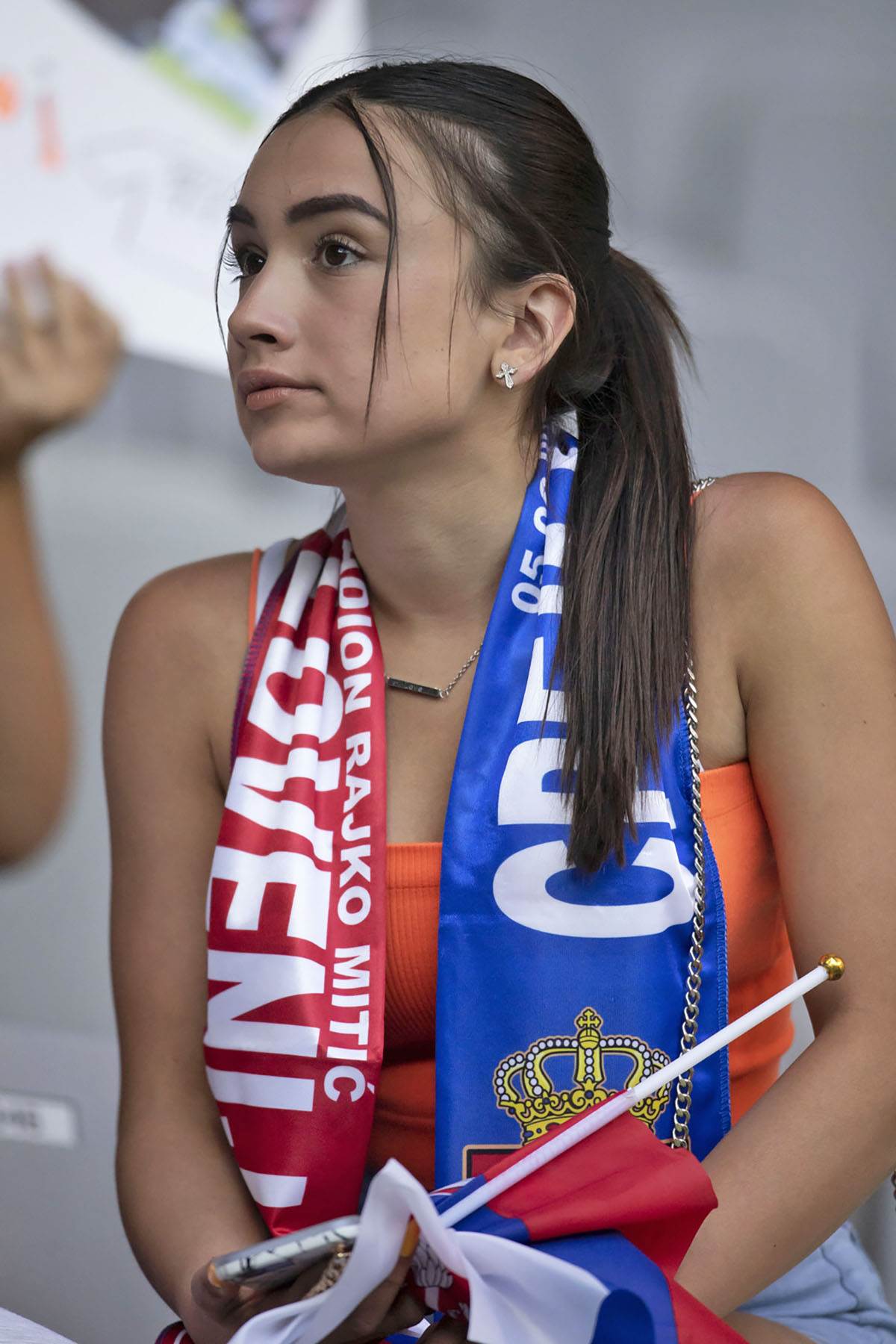 Slovenija Srbija navijaci (4).JPG