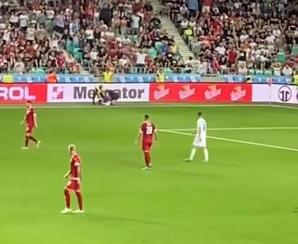 Istrčao na teren  (1).jpg