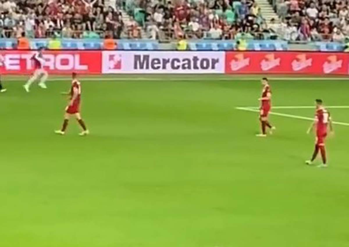 Istrčao na teren  (3).jpg