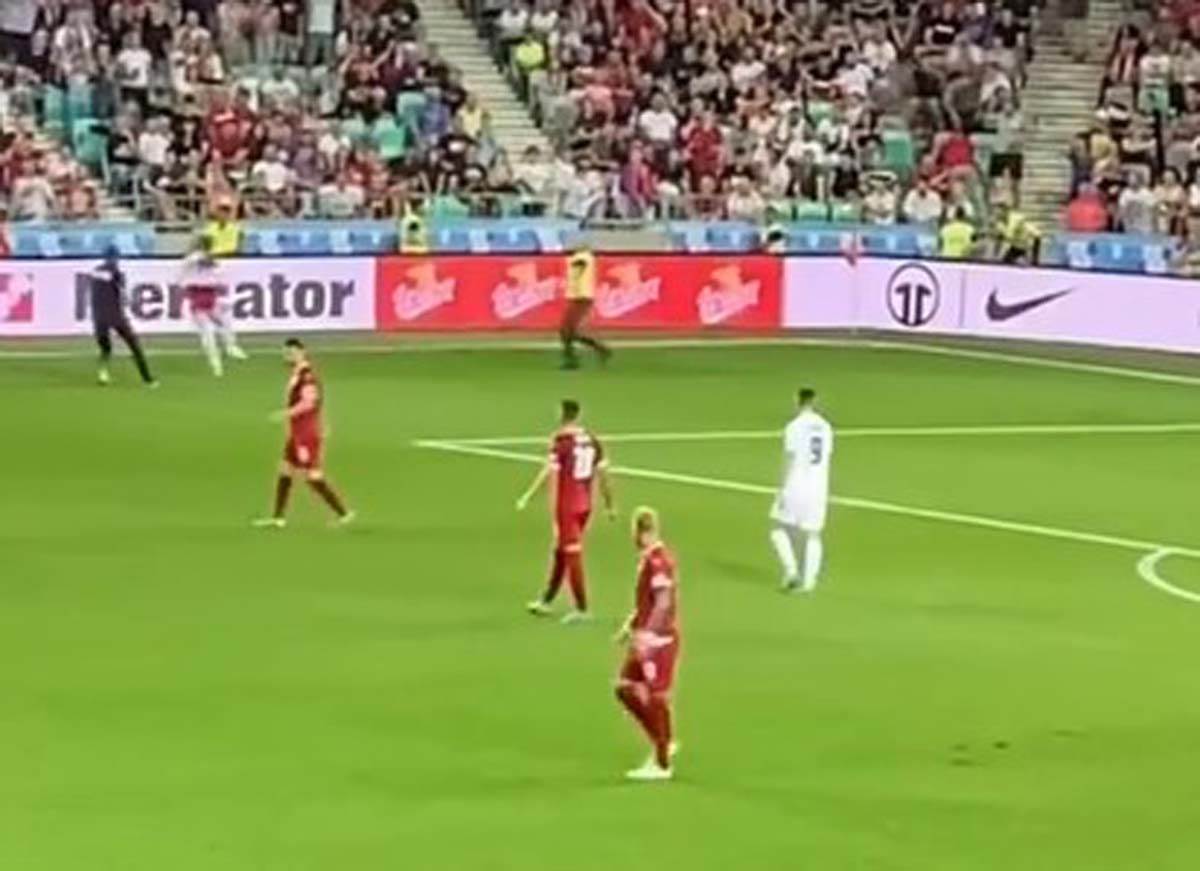 Istrčao na teren  (5).jpg