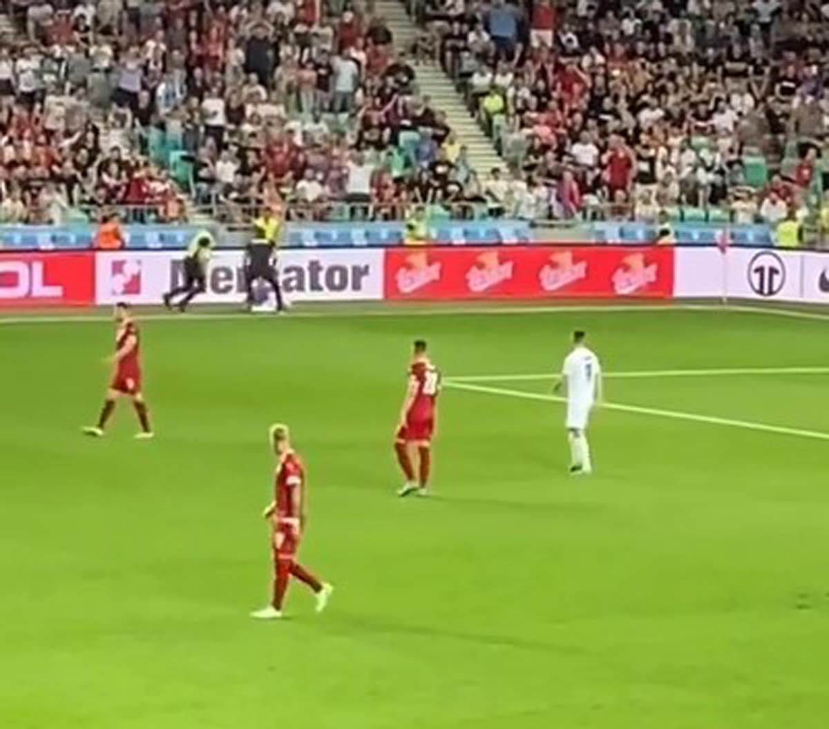 Istrčao na teren  (6).jpg