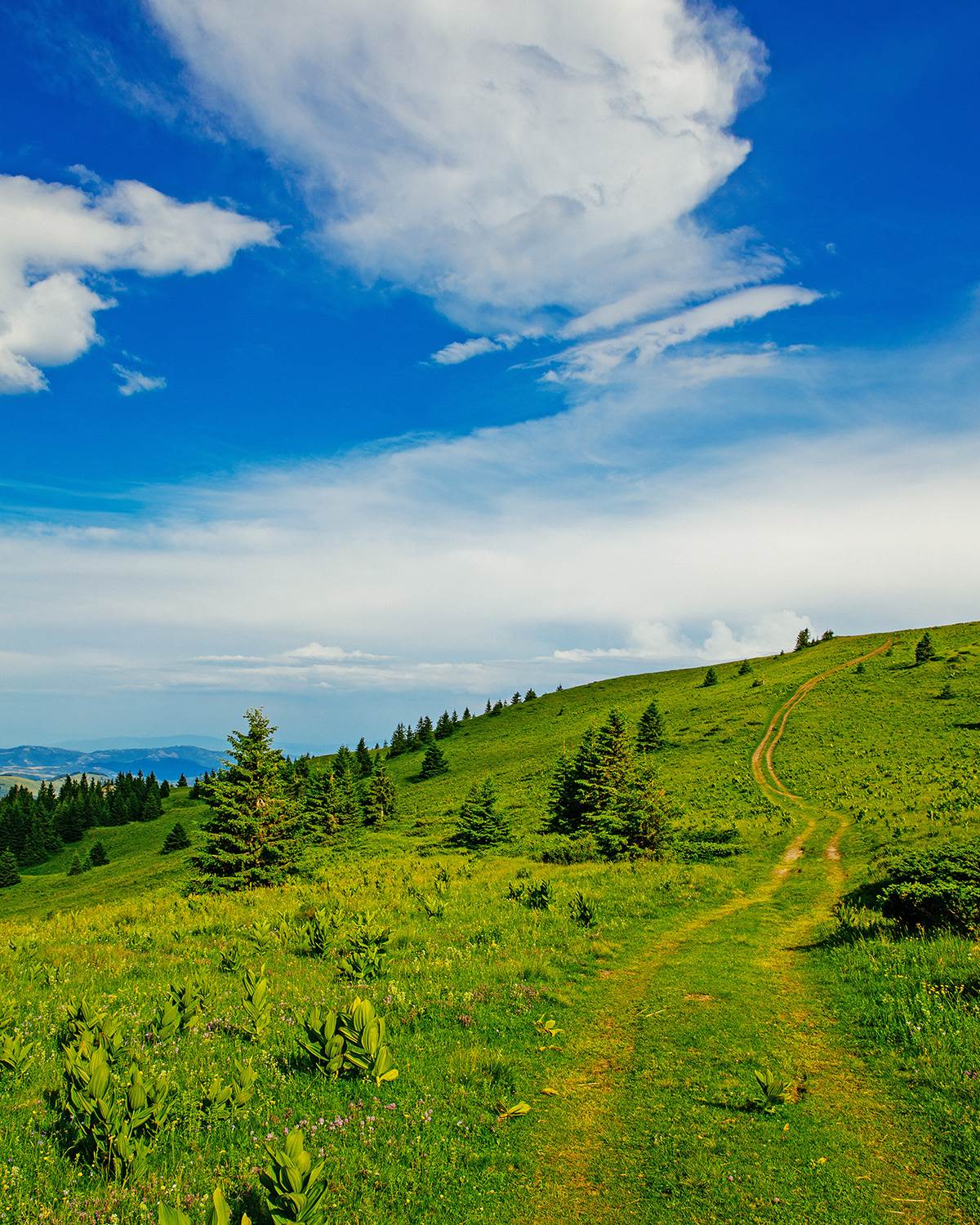 Kopaonik_fotografija 1.jpg