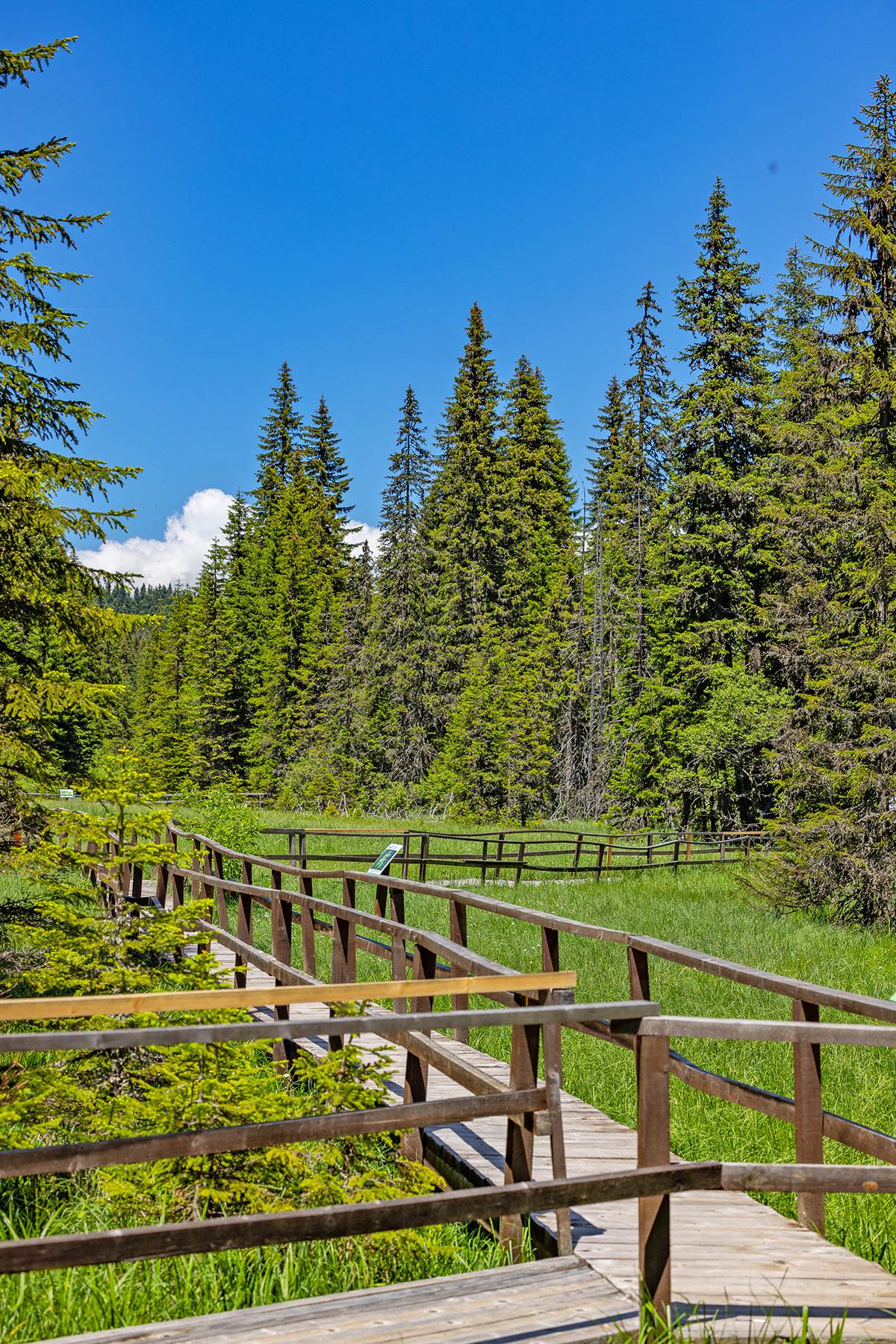 Kopaonik_fotografija 2.jpg