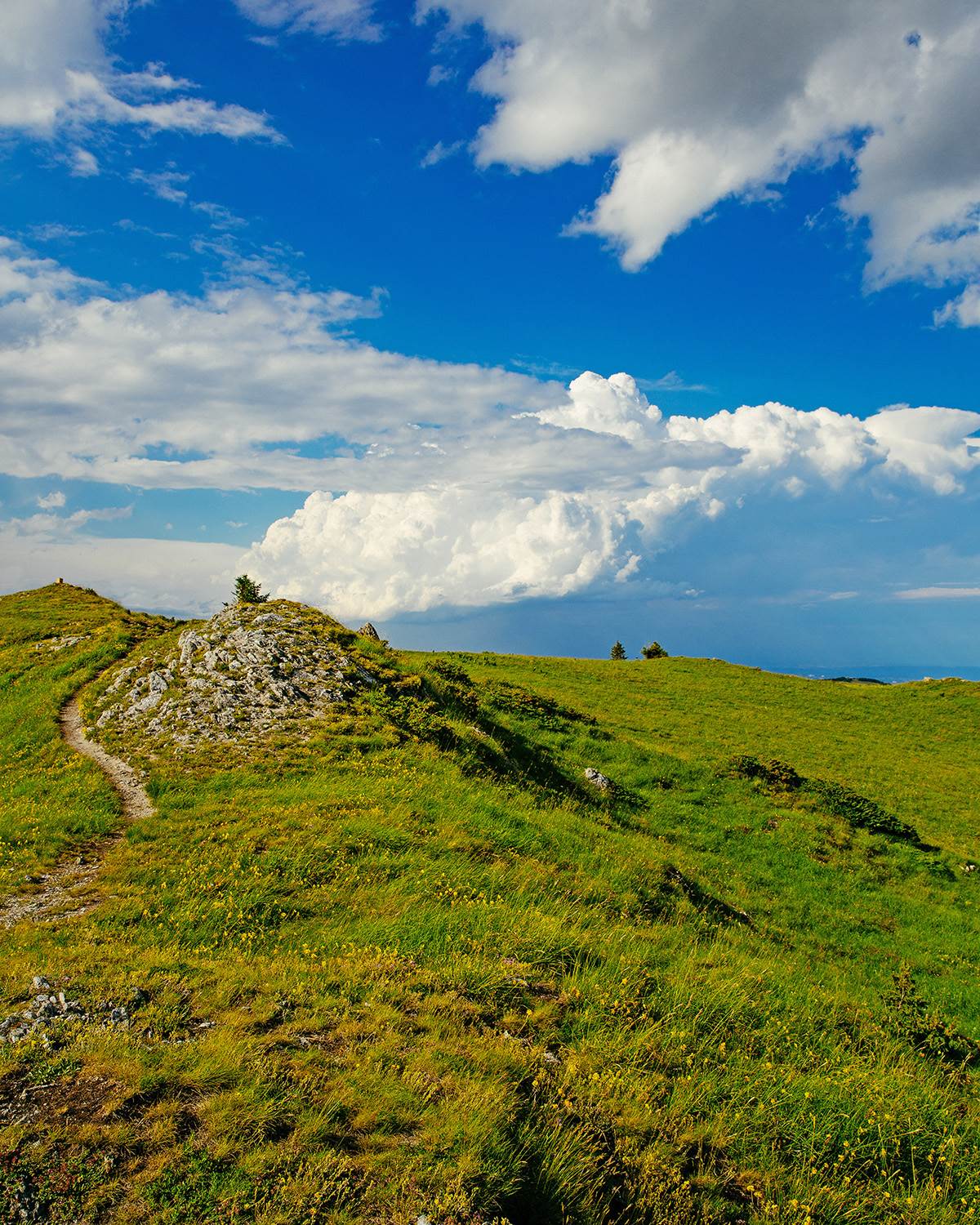 Kopaonik_fotografija 3.jpg