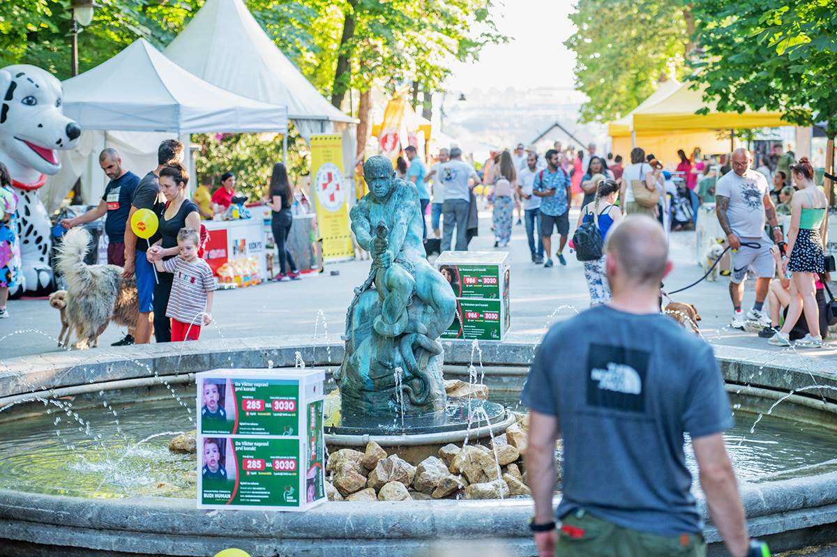 VELIKA POSEĆENOST PRVOG REGIONALNOG FESTIVALA PASA SVIH RASA