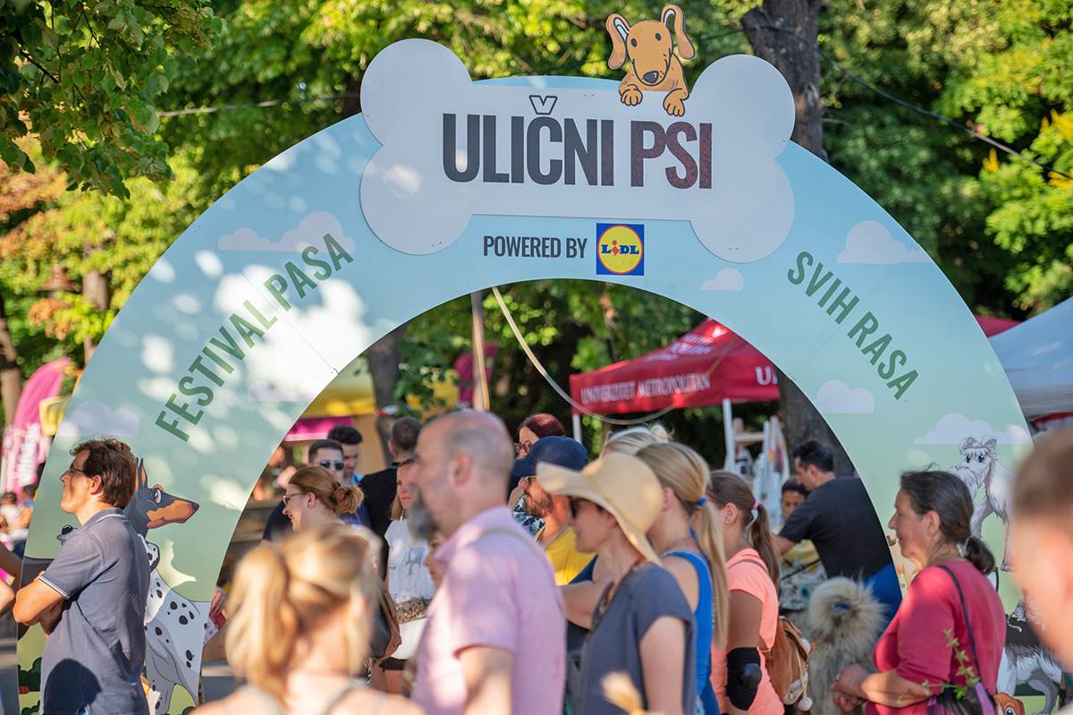 VELIKA POSEĆENOST PRVOG REGIONALNOG FESTIVALA PASA SVIH RASA