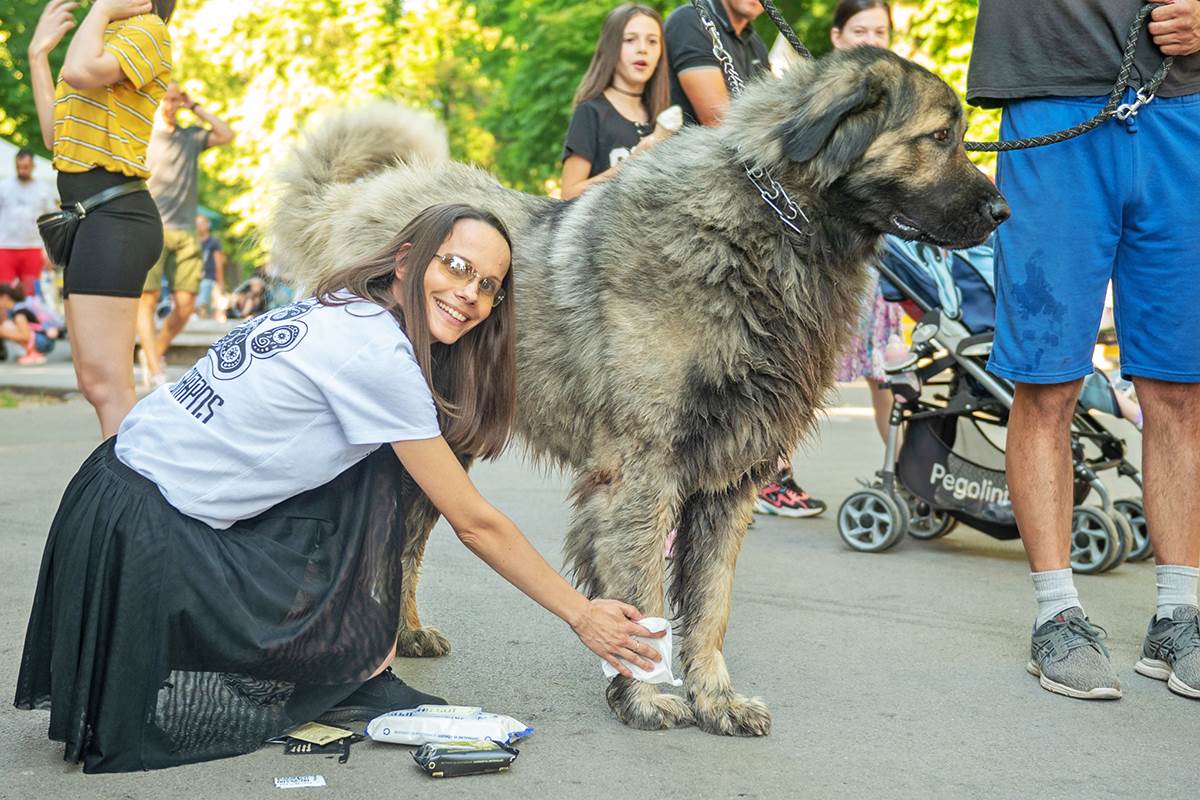 VELIKA POSEĆENOST PRVOG REGIONALNOG FESTIVALA PASA SVIH RASA