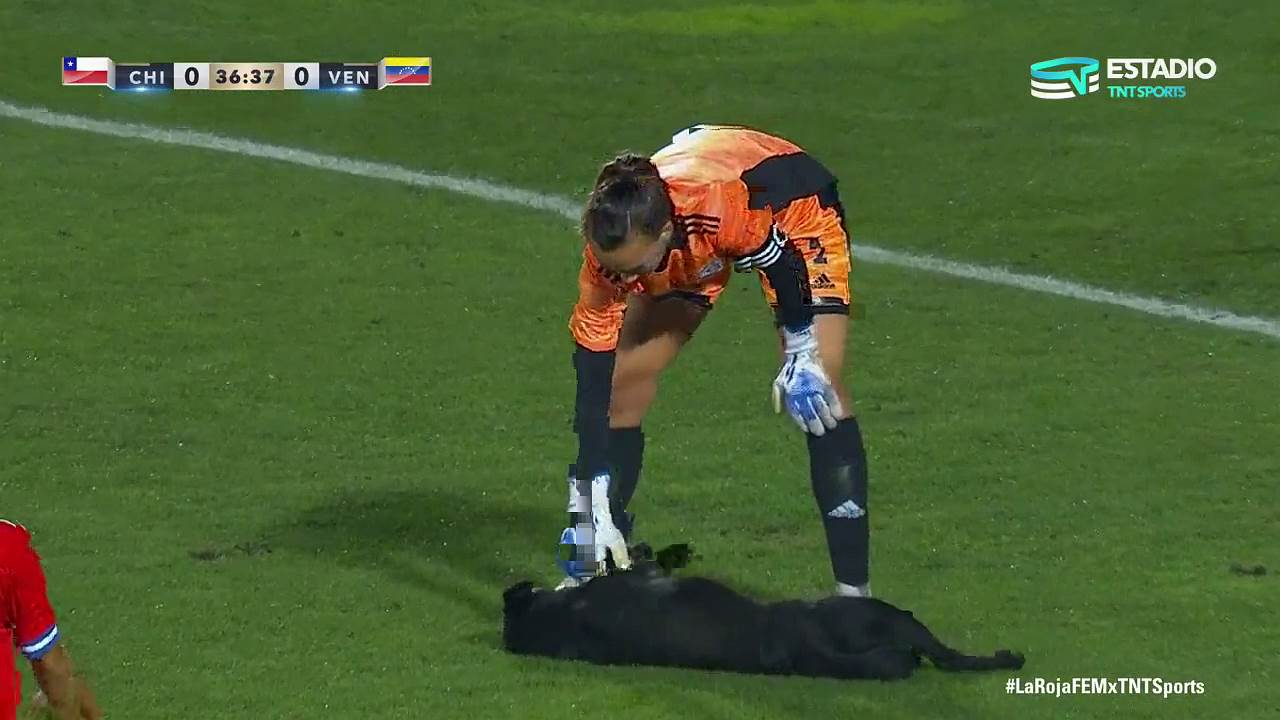 Pas na terenu, teren, pas (2).png