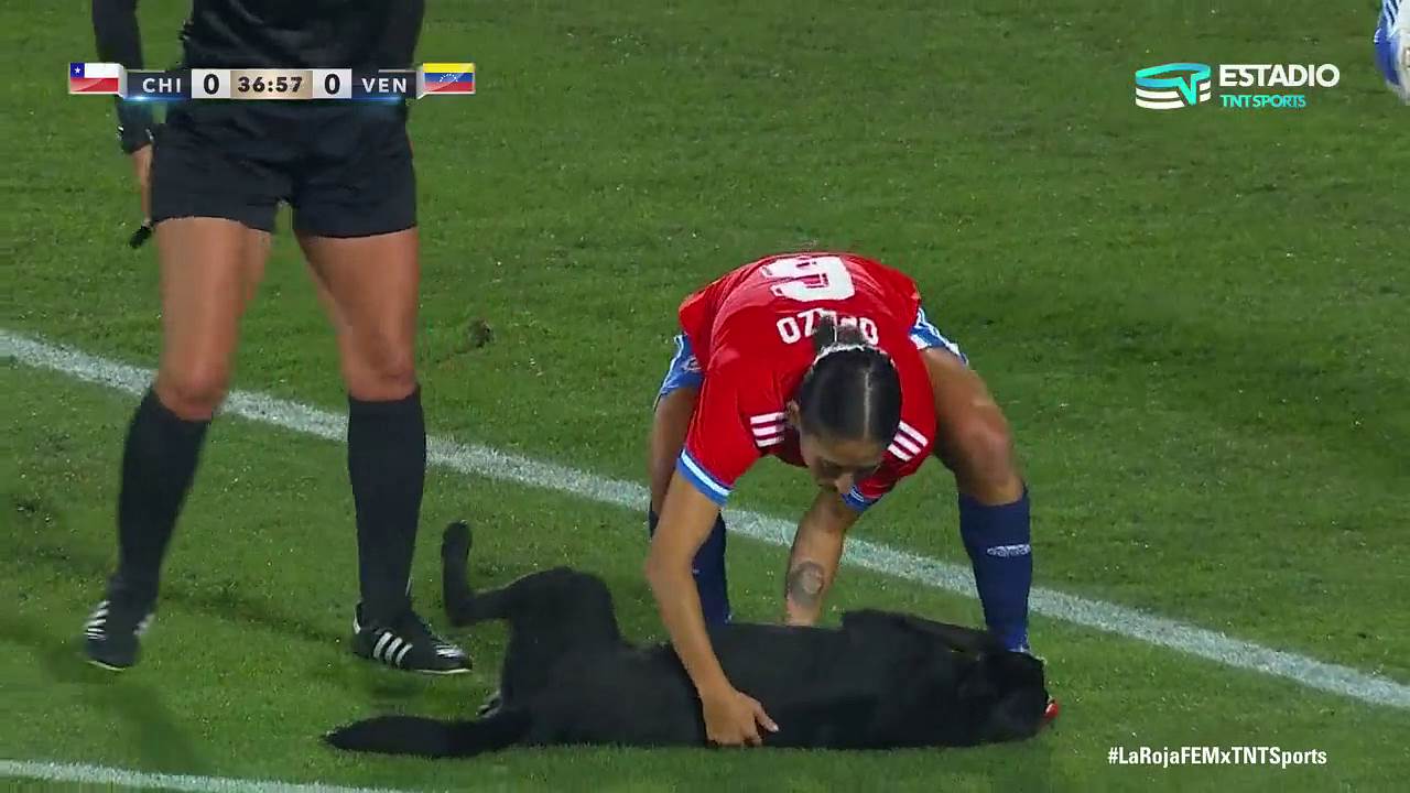 Pas na terenu, teren, pas (5).png