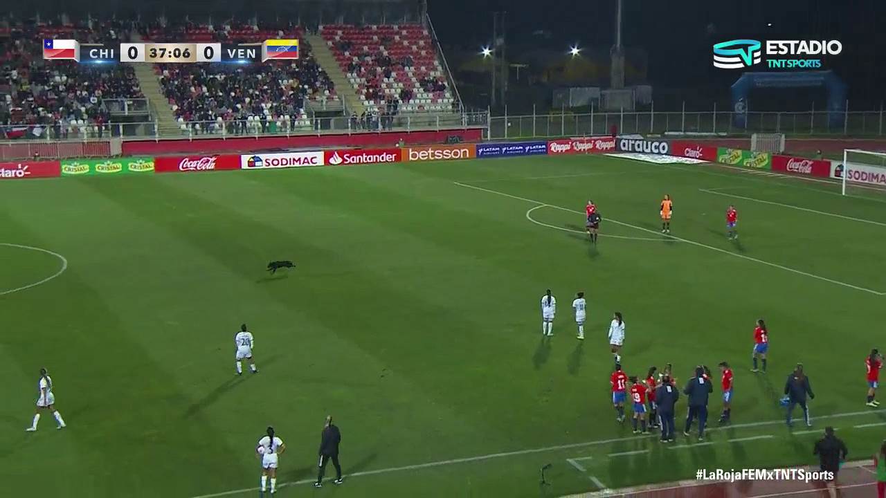 Pas na terenu, teren, pas (6).png