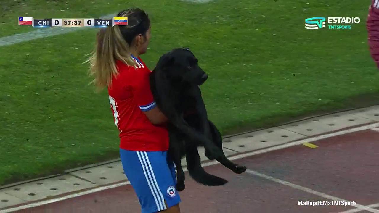 Pas na terenu, teren, pas (10).png