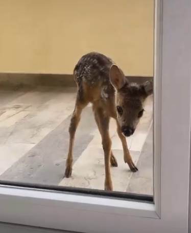 Screenshot 2022-06-26 095807.jpg