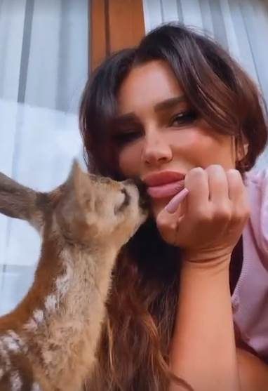 Screenshot 2022-06-26 101049.jpg