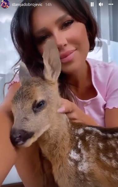 Screenshot 2022-06-26 101152.jpg