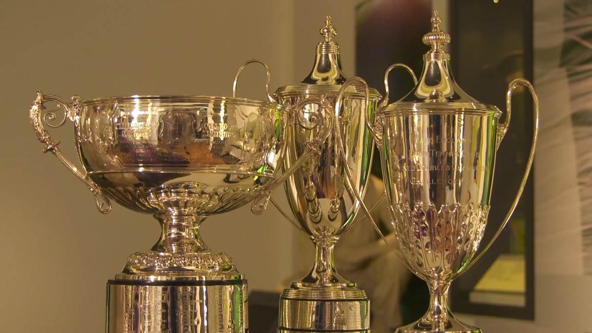 Vimbldon pehar-12.jpg