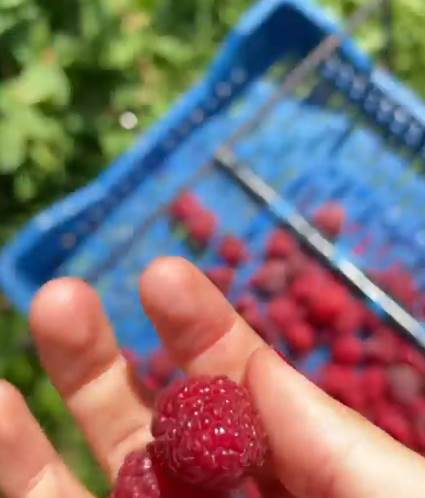 Screenshot 2022-06-30 160051.jpg