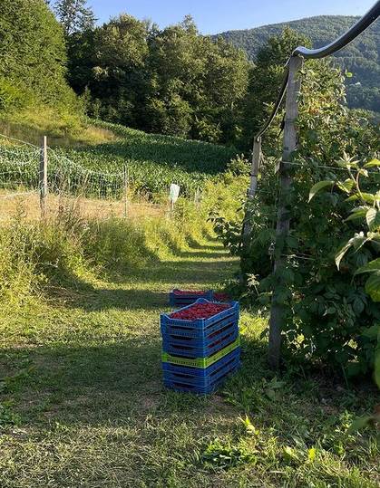 Screenshot 2022-06-30 160945.jpg