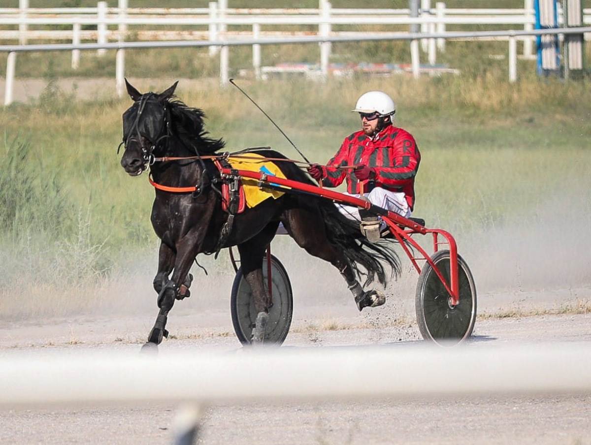 Nikola Jokić video navijača u njegovom dresu