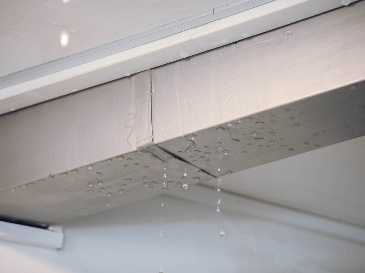 Poplava u Zemunu-3.jpg