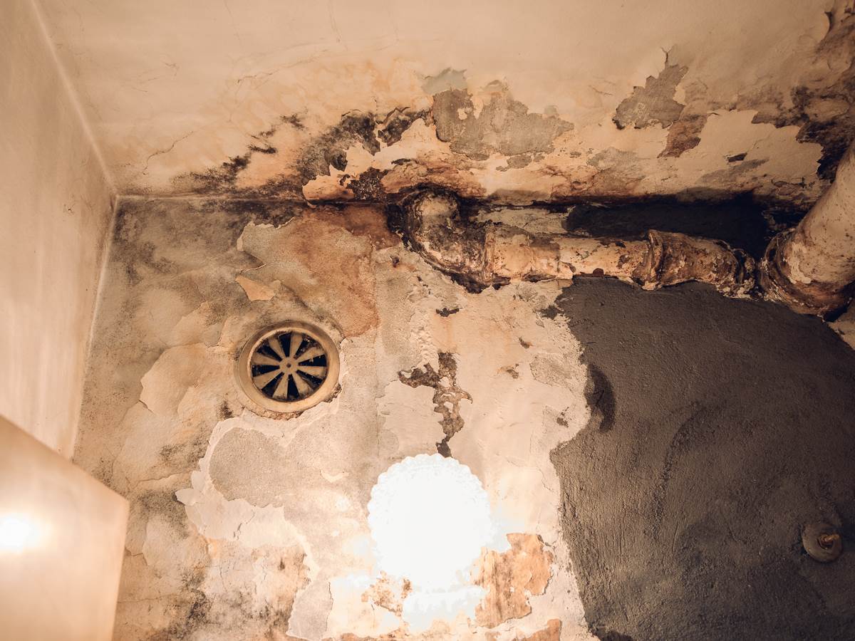 Poplava u Zemunu-5.jpg