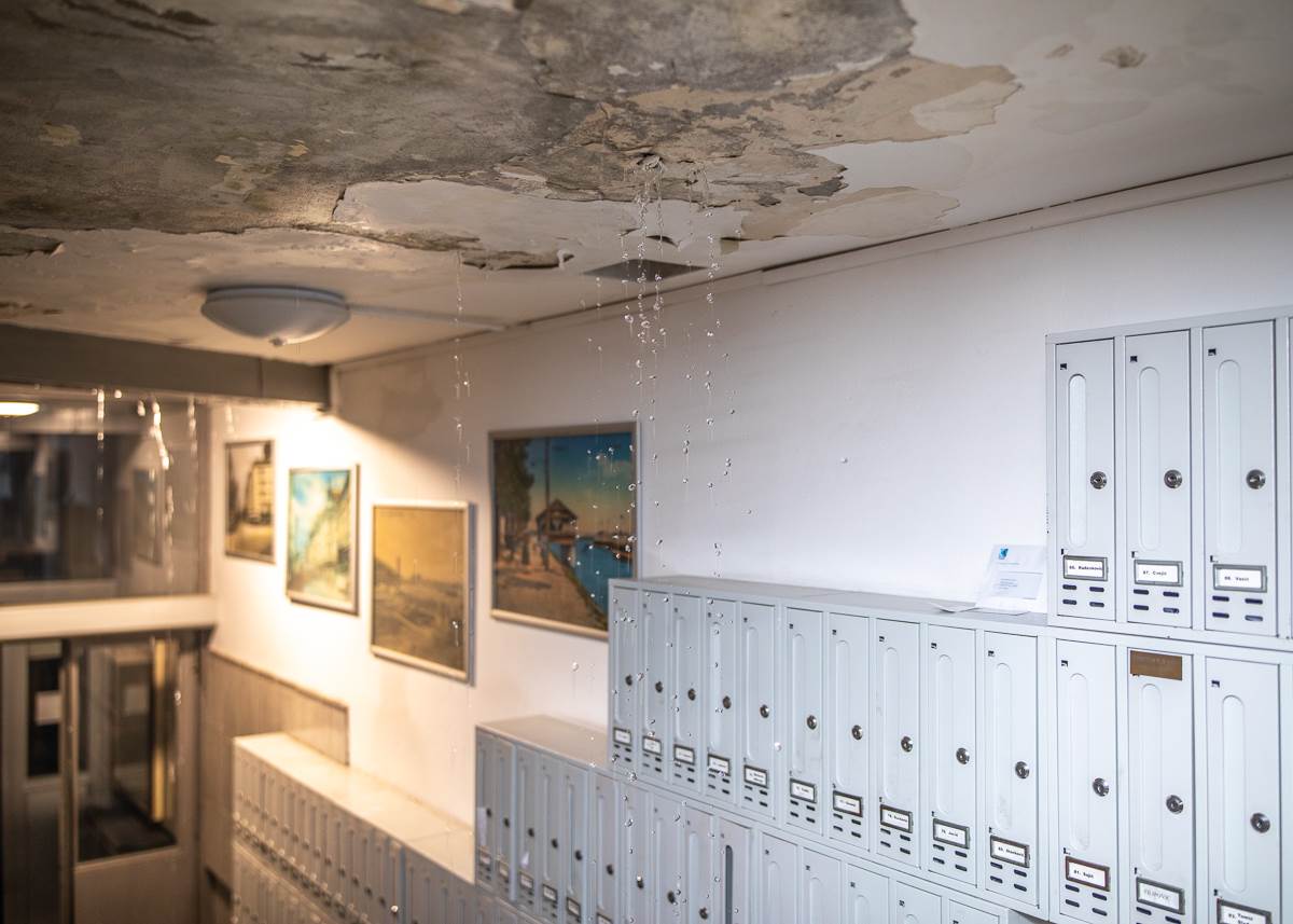 Poplava u Zemunu-7.jpg