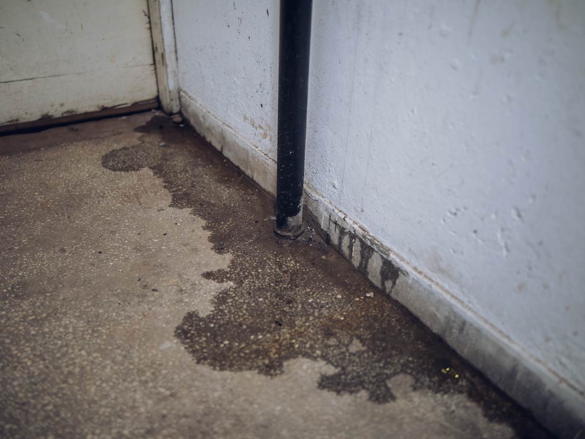 Poplava u Zemunu-9.jpg