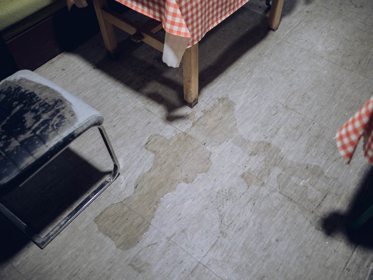 Poplava u Zemunu-10.jpg