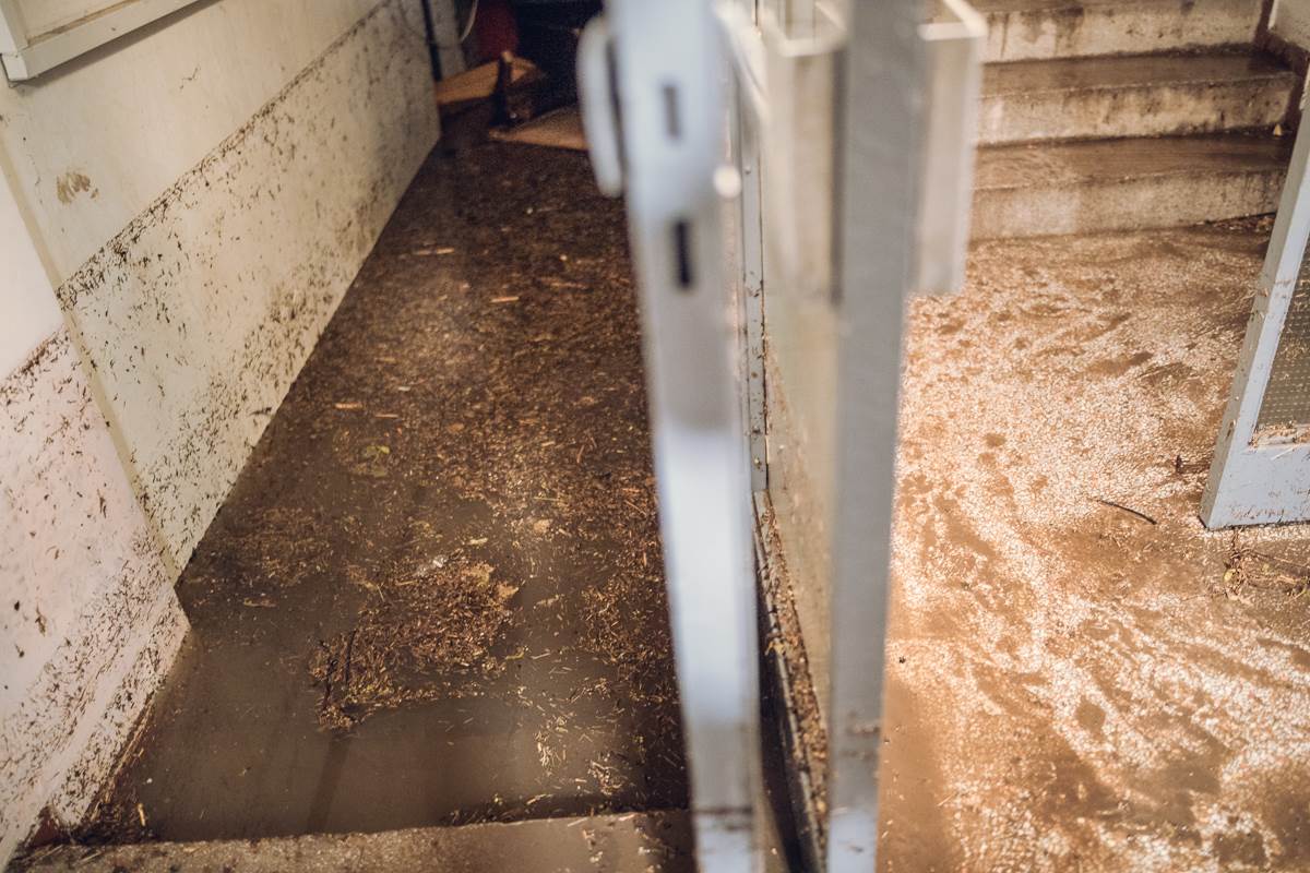 Poplava u Zemunu-21.jpg