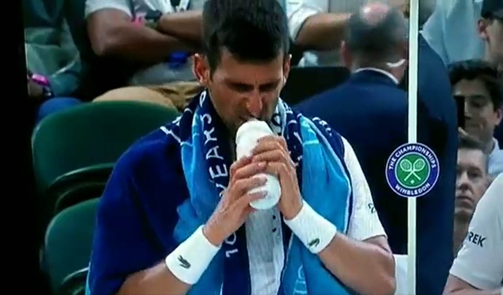 Novak Đoković 6.jpg