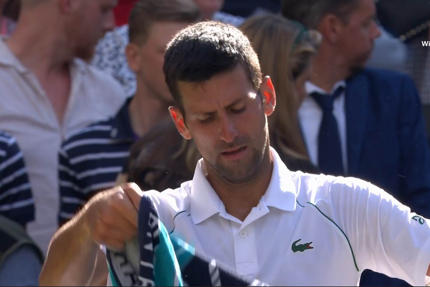 Novak Đoković  8.jpg