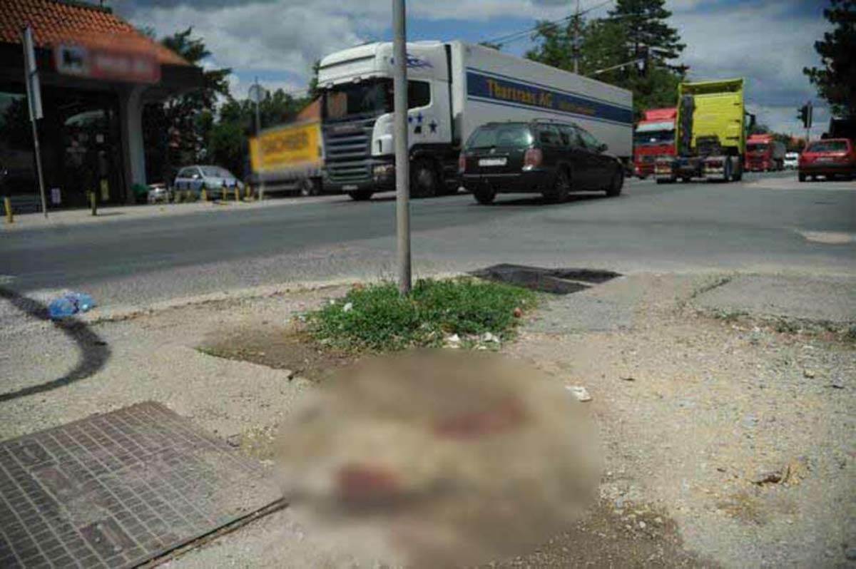 Mesto gde je ubijen zoran (1).jpg